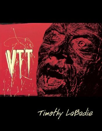 Vtt (English Edition)