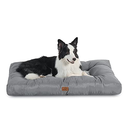 Best coussin chien in 2022 [Based on 50 expert reviews]