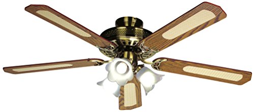 Best ventilateur plafond in 2022 [Based on 50 expert reviews]