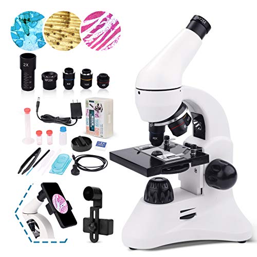 Best microscope in 2022 [Based on 50 expert reviews]