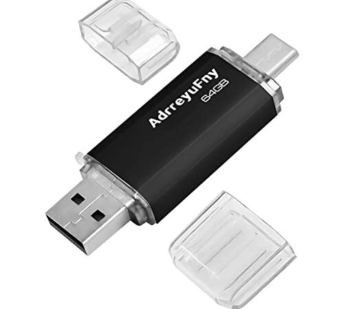 Clé USB 64Go, Flash Drive 64Go OTG 2 en 1 Type C Pendrive USB 2.0 Mémoire Stick pour PC, Tablette, Smartphone (Noir)