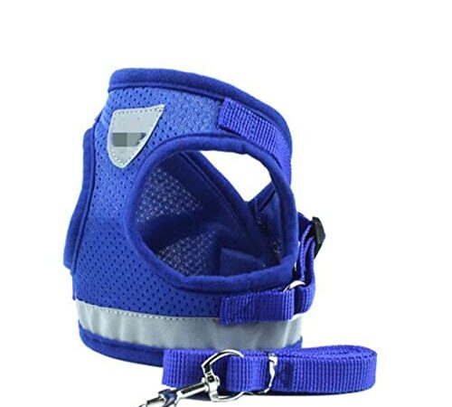 Harnais Chien Vest Harness Laisse Laisse Réglable Mesh Vest Harnais De Chien Harnais De Poitrine Collier Harnais avec Corde De Traction XS/S/M/L/XL-Blue,S