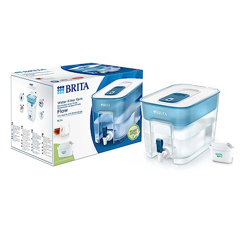 30 Meilleur brita en 2024 [Basé sur 50 avis d’experts]