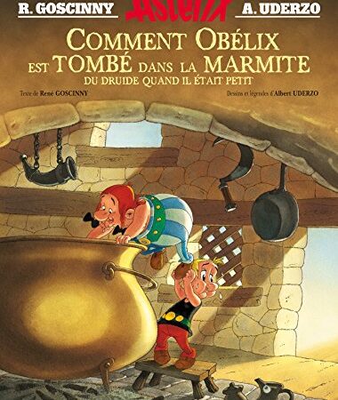 Astérix - Comment Obélix est tombé dans la marmite quand il était petit
