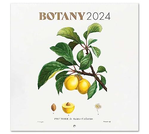 Grupo Erik - Calendrier Mural 2023 2024 Plantes | Calendrier Mensuel de Septembre 2023 à Décembre 2024 | 30 x 60 cm, Certifié FSC, en Français