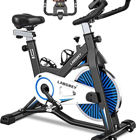LABGREY Vélo d'Appartement Vélo de Fitness Vélo d'Exercice d'intérieur avec Ecran LCD Silencieux pour l'Entraînement Cardio à la Maison Guidon Réglable et Siège (Bleu)