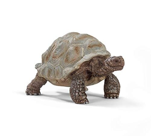 Schleich- Figurine Tortue géante Wild Life, 14824, Multicolore