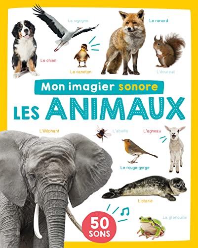 30 Meilleur animaux en 2024 [Basé sur 50 avis d’experts]