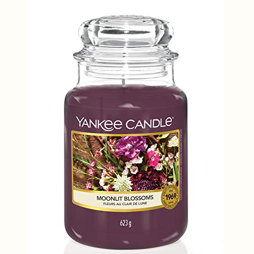 30 Meilleur yankee candle en 2024 [Basé sur 50 avis d’experts]